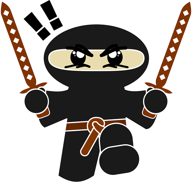 Graphic of Ninja Warrior